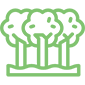 beraca-servicios-constructora-ambiental